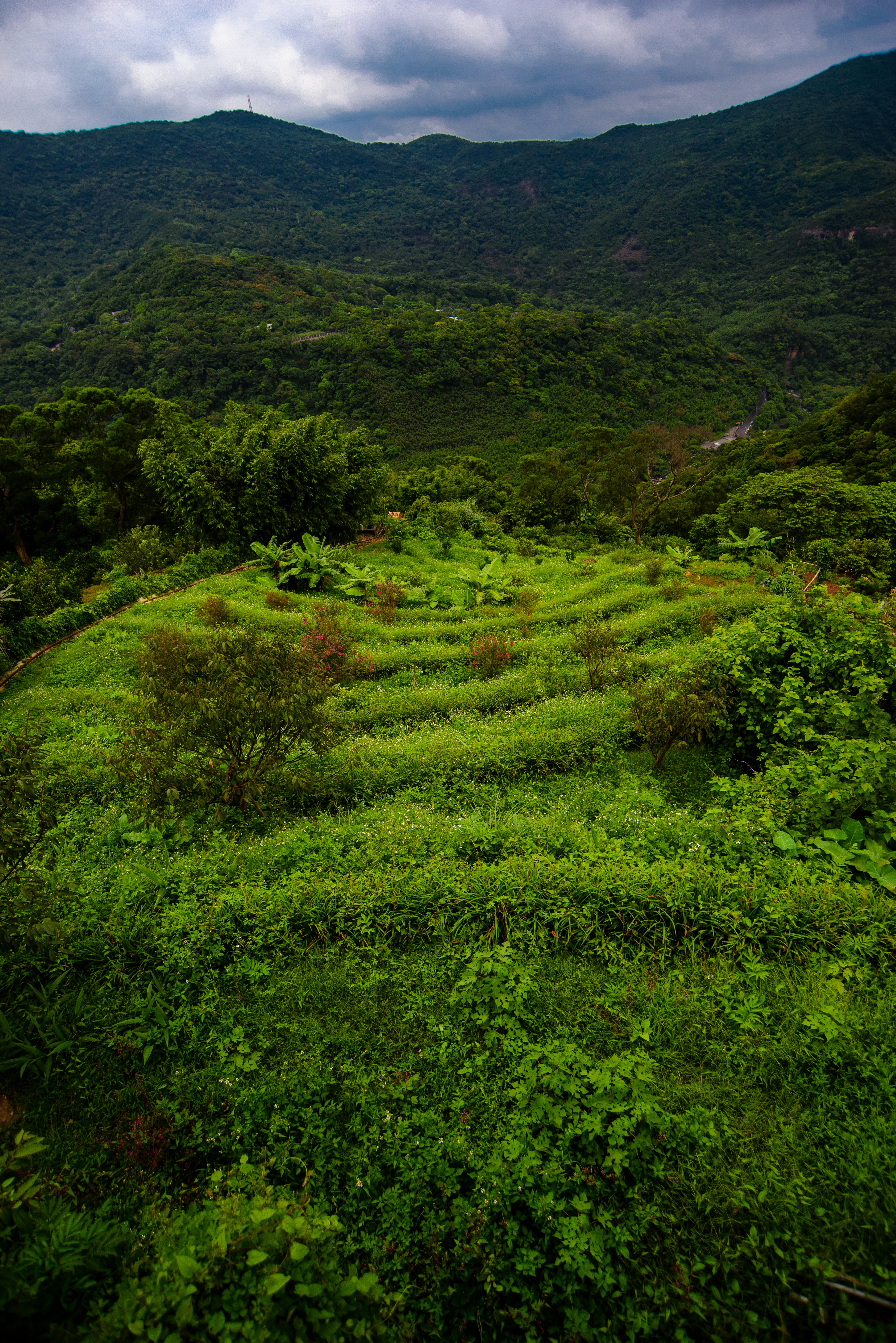 green grass field during daytime